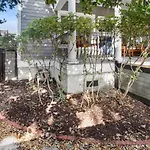 Starland Town House, Walk To The Park